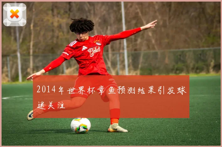 2014年世界杯章鱼预测结果引发球迷关注