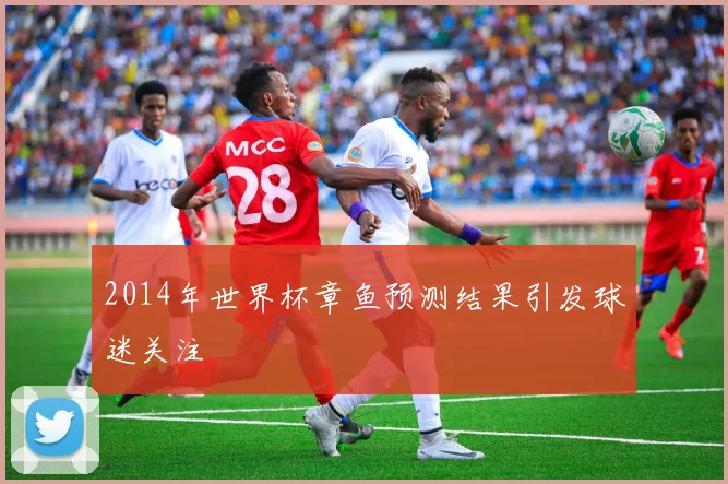 2014年世界杯章鱼预测结果引发球迷关注