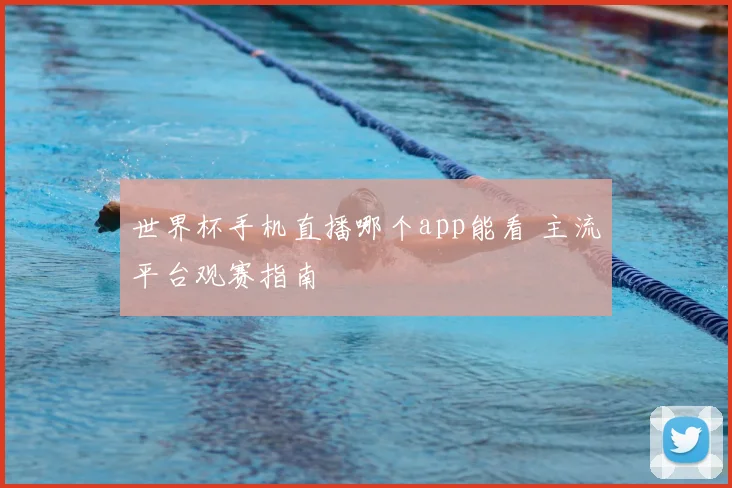 世界杯手机直播哪个app能看 主流平台观赛指南