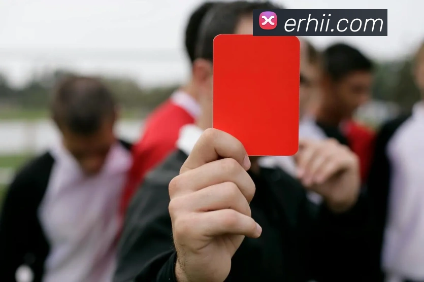 在线买世界杯平台平台生态图