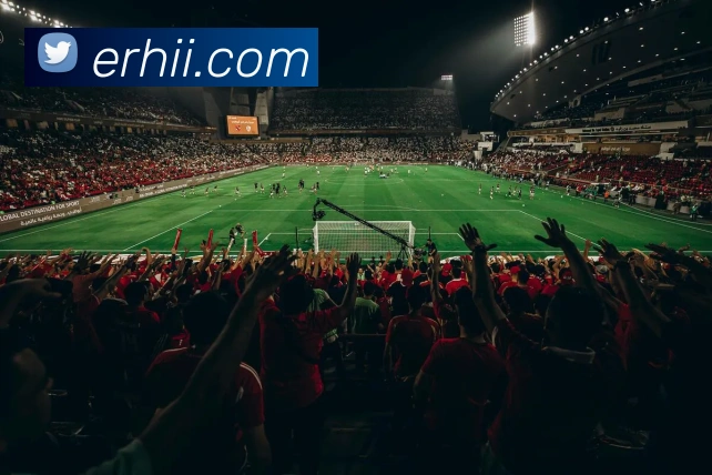 在线买世界杯平台APP 封面图